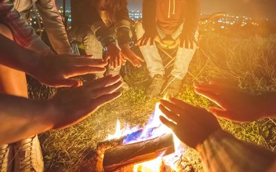 Is Bluegum Good Firewood? A Complete Guide to Heat Output, Affordability & Everyday Use